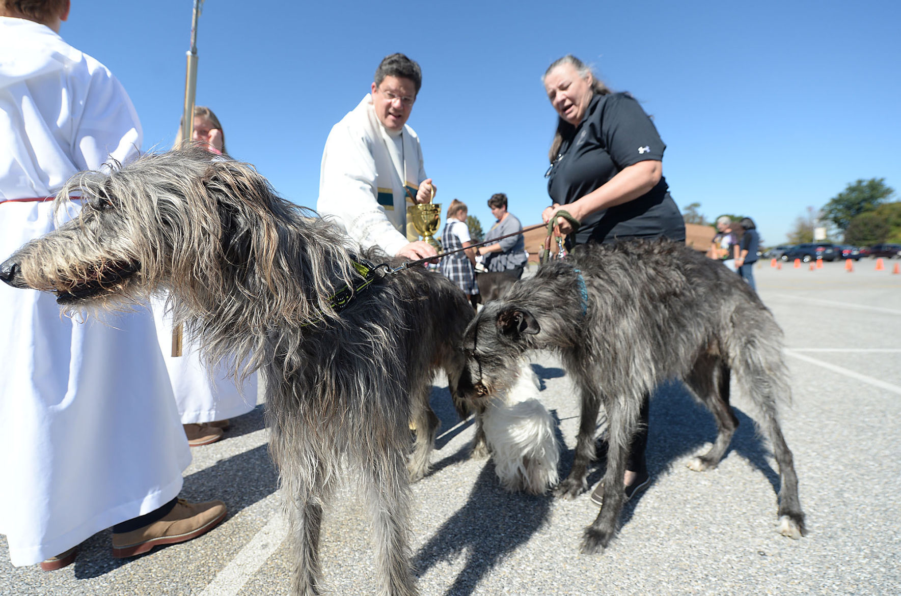 Saint Patrick School Pet Blessing
